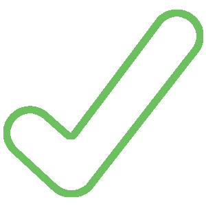 Check Mark Icon